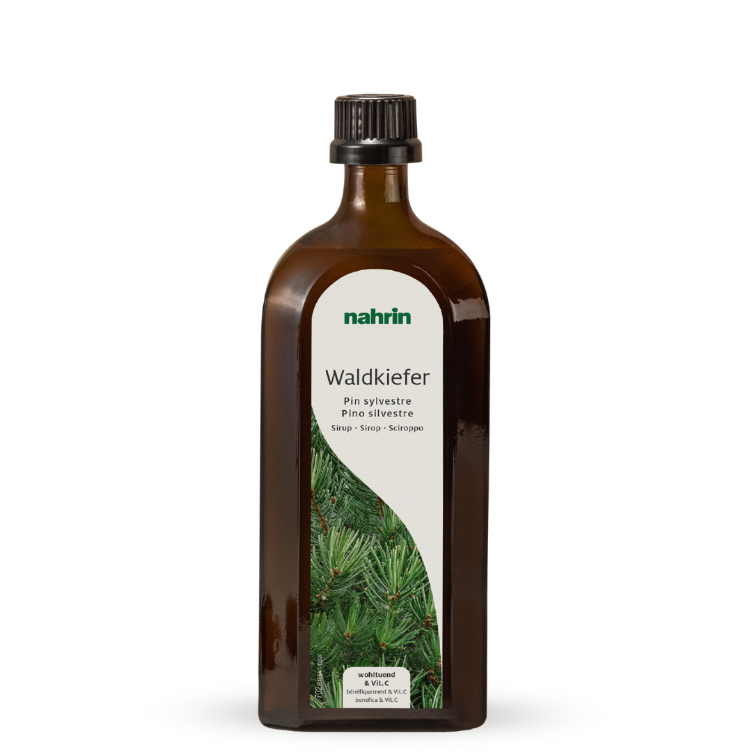 Pine shoot syrup with honey for the throat, 250ml, NEW FORMULA