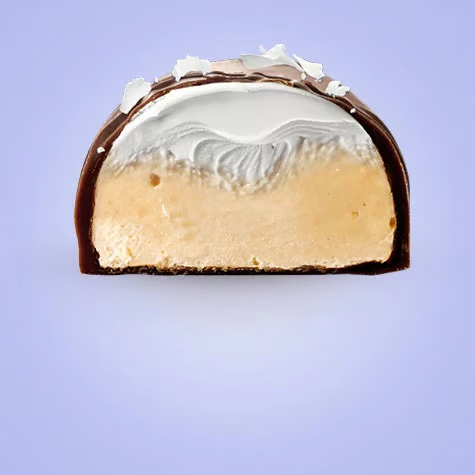 SNCK Protein Bar Coconut Flødebollen 55g